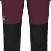 Haglöfs Rugged Standard Pant Women -Udendørs Udstyrsbutik 21700109 3fc